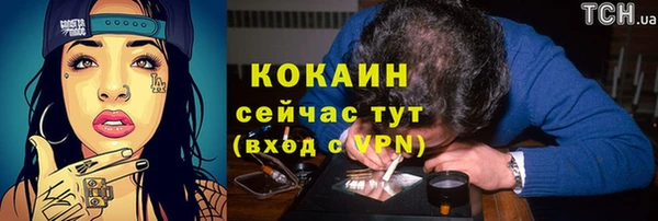 гидропоника Богданович